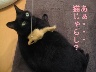 あたし・主婦の頭の中