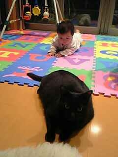 ほら、しっぽを目指して！