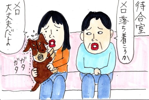 img20221120_23030628