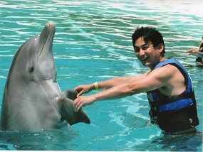 あたし・主婦の頭の中