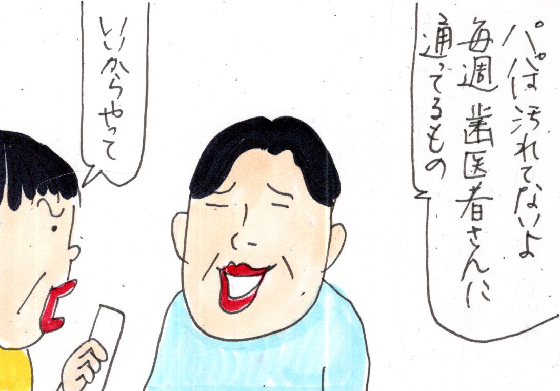 新品登場 p82緑、q22黄、q48、p88赤 カータン Tシャツ/カットソー(半袖