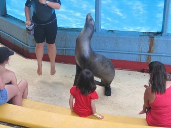 あたし・主婦の頭の中