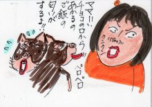 あたし・主婦の頭の中