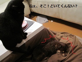 あたし・主婦の頭の中