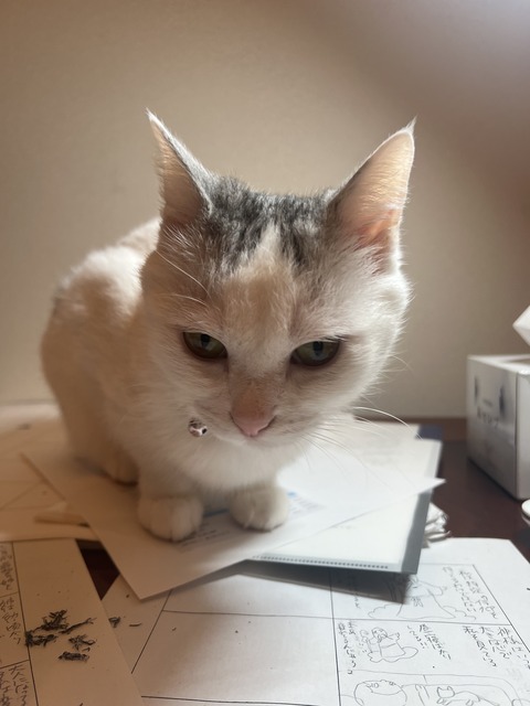 14CC9A06-5493-4F86-96D3-0B317B5E0263