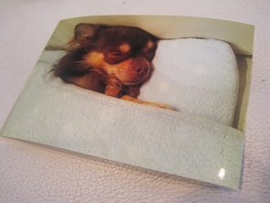 あたし・主婦の頭の中