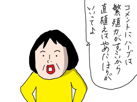 250425−1