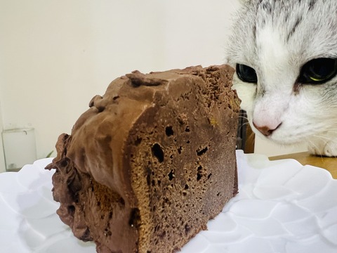 561946CC-5877-4B4E-AB73-636CCBC3982E