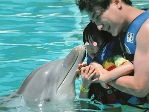 あたし・主婦の頭の中