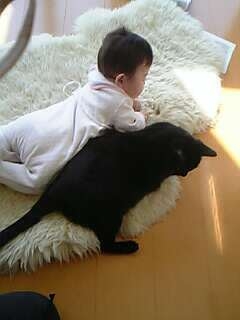 ねこかあちゃん