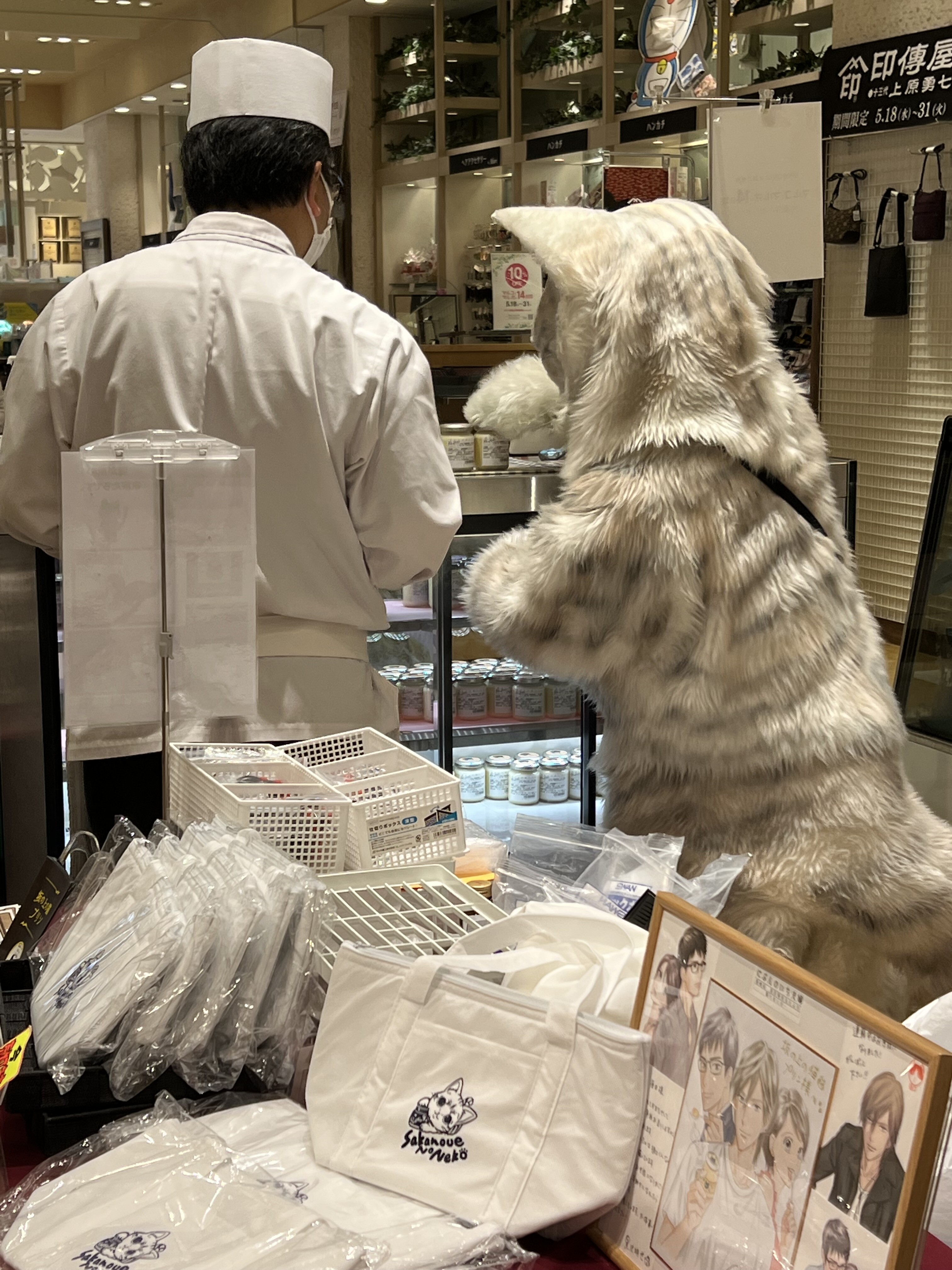 働き者の猫のミクちゃん カータンblog あたし 主婦の頭の中 Powered By ライブドアブログ