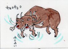 あたし・主婦の頭の中