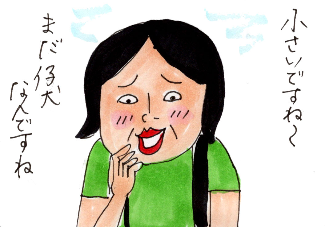 ボクはチワワ : カータンBLOG あたし・主婦の頭の中 Powered by