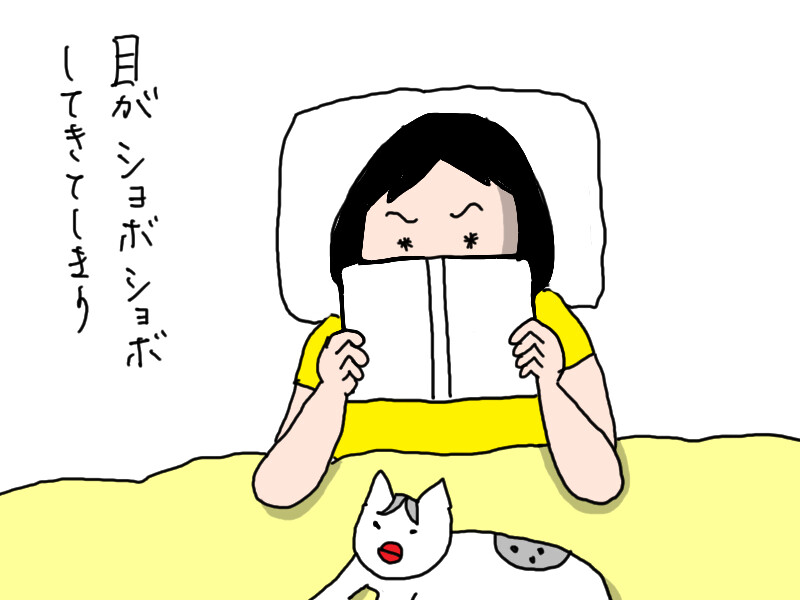 読書 睡魔に勝てない問題 : カータンBLOG あたし・主婦の頭の中