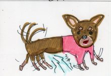 あたし・主婦の頭の中