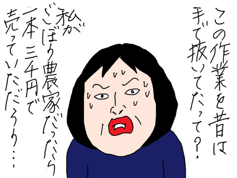青森23