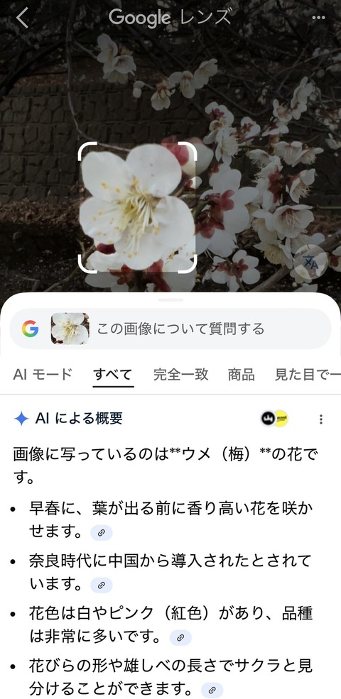 S__52019203