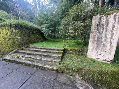 S__66134064