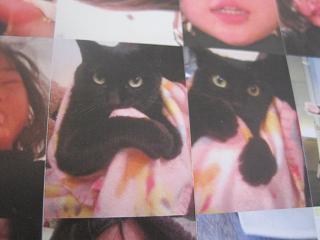 あたし・主婦の頭の中