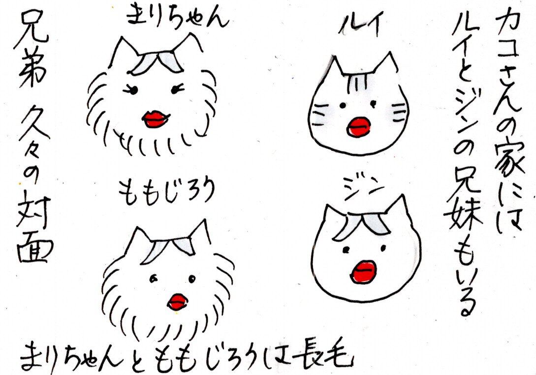 ２泊3日 東京ディズニーリゾート ジンとルイの里帰り カータンblog あたし 主婦の頭の中 Powered By ライブドアブログ
