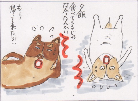 スキャン 439