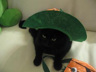 あたし・主婦の頭の中