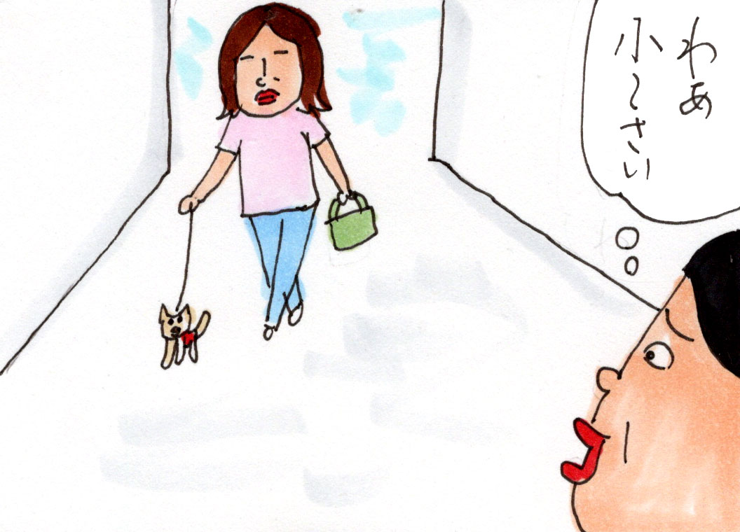 ボクはチワワ : カータンBLOG あたし・主婦の頭の中 Powered by