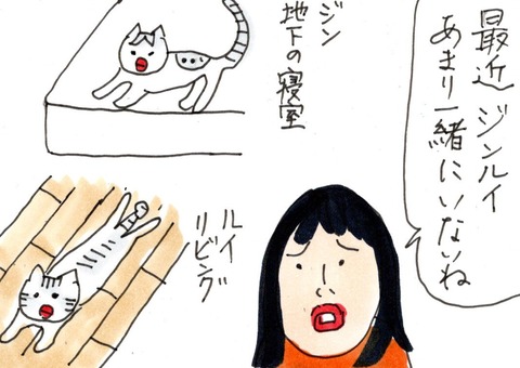 img20230622_23064994