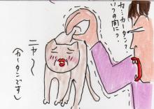 あたし・主婦の頭の中