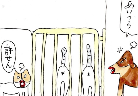 img20210629_22242465