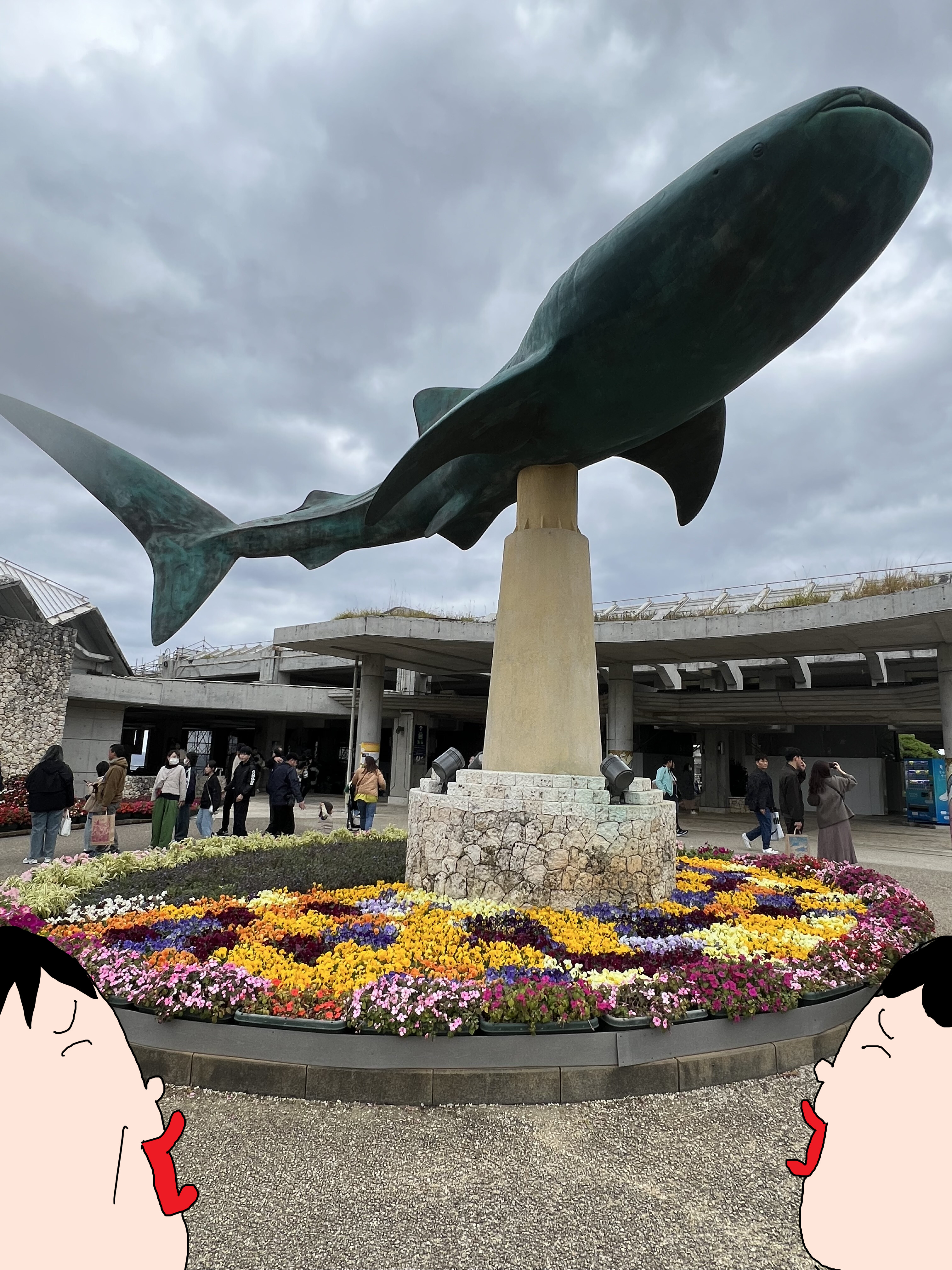 日ハムのキャンプに行ってきた！③美ら海水族館と沖縄そばを求めて