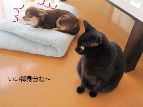 あたし・主婦の頭の中