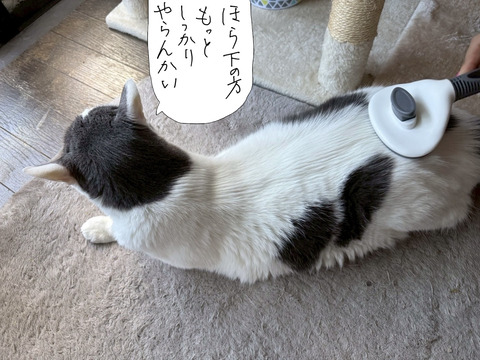 250714−8