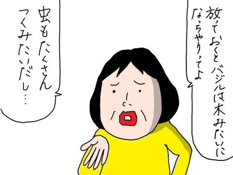 250506−1