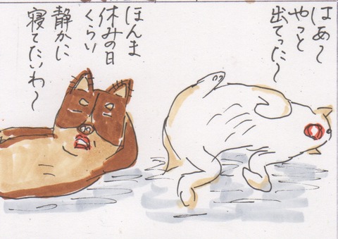 スキャン 438