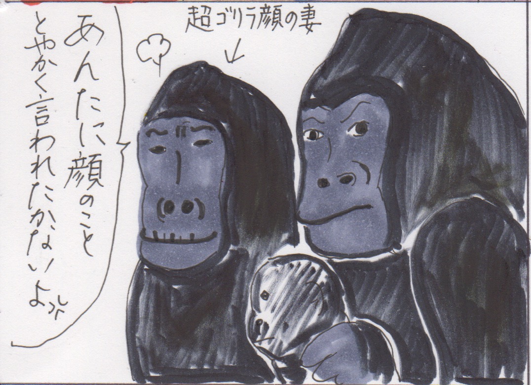 名古屋の魅力 ３ 東山動植物園 イケメンゴリラ カータンblog あたし 主婦の頭の中 Powered By ライブドアブログ