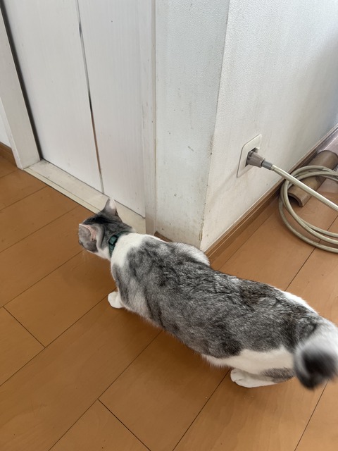 9167158F-46DB-4F36-82F3-57E425E29CF6