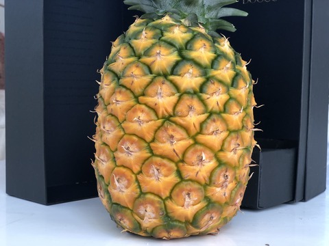 FullSizeRender