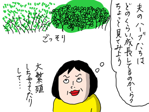 250425−8