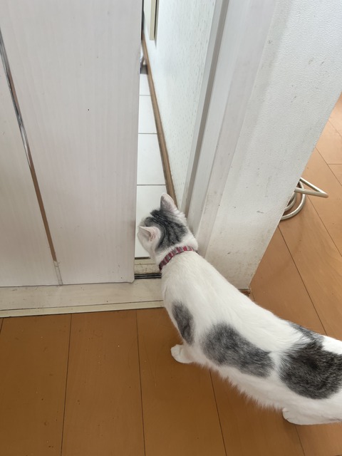 04044E7B-2395-40F8-93ED-87D4B4AEFE73