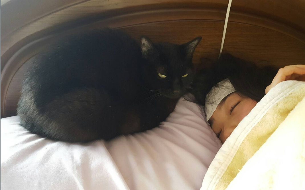 今日は猫の日 西原理恵子さんの 猫カフェ風俗論 カータンblog あたし 主婦の頭の中 Powered By ライブドアブログ 今日は猫の日 西原理恵子さんの 猫カフェ風俗論 カータンblog あたし 主婦の頭の中 Powered By ライブドアブログ