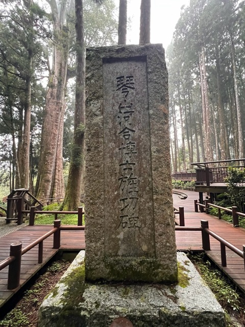 S__66134053