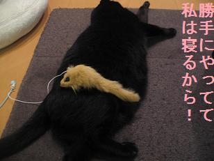 あたし・主婦の頭の中