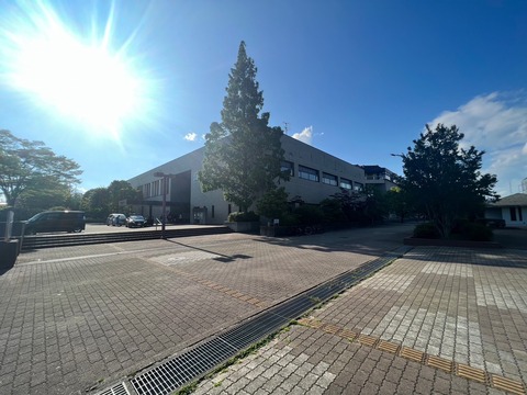 S__28377484