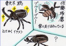 あたし・主婦の頭の中