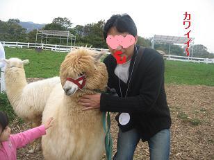 あたし・主婦の頭の中