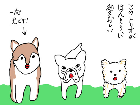 250627−8