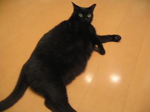 あたし・主婦の頭の中