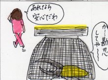 あたし・主婦の頭の中