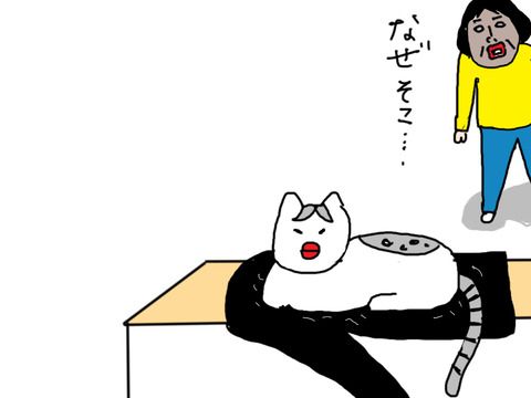 260219−8
